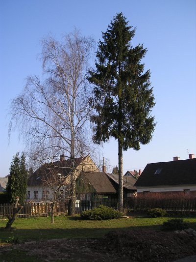 Před zákrokem
