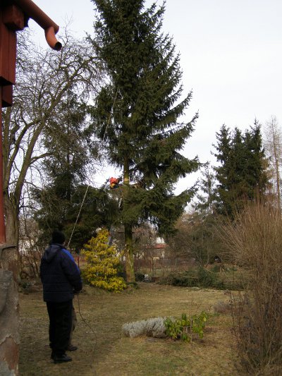 Směrovaný pád